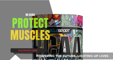 BCAA Muscle Protection: Fact or Fiction?