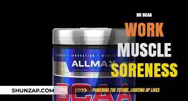 Do BCAAs Really Ease Muscle Soreness After Intense Workouts?