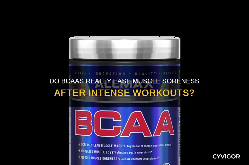 do bcaa work muscle soreness