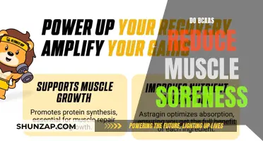 BCAA's Muscle Soreness Relief: How Effective Is It?