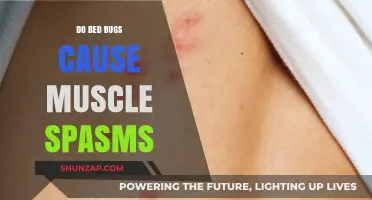 Bed Bugs and Muscle Spasms: Is There a Link?