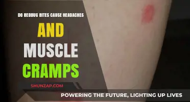 Bedbug Bites: Headaches, Muscle Cramps, and More