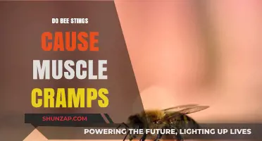 Bee Stings and Muscle Cramps: What's the Link?