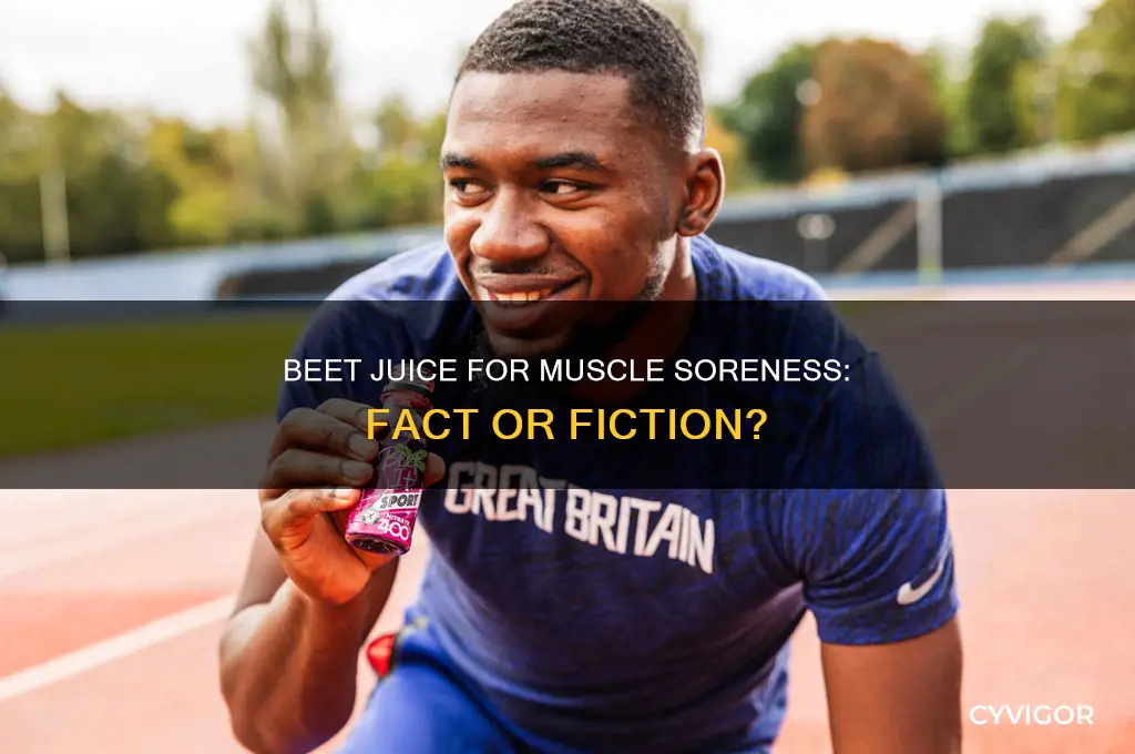 do beet juice work muscle soreness