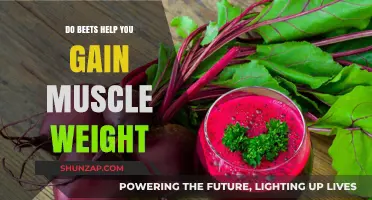 Beets and Muscle Gain: Unlocking Strength with Root Power