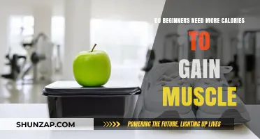 Do Beginners Need More Calories to Build Muscle Effectively?