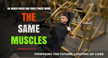 Bench Press vs. Chest Press: Targeting the Same Muscles?