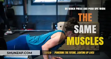 Bench Press vs. Push-Ups: Targeting the Same Muscle Groups?