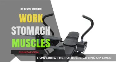 Do Bench Presses Engage Your Stomach Muscles? The Truth Revealed