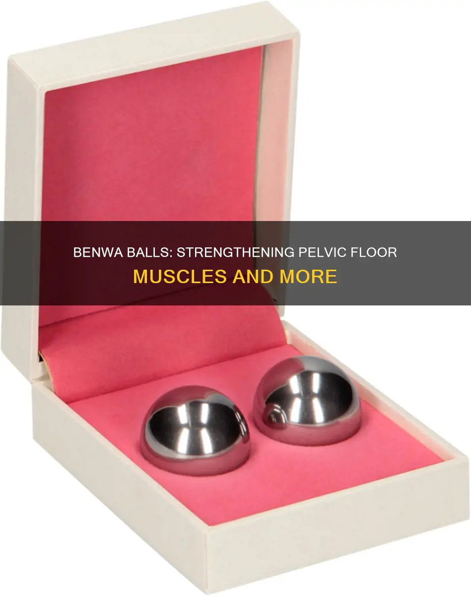 do benwa ballshel muscles
