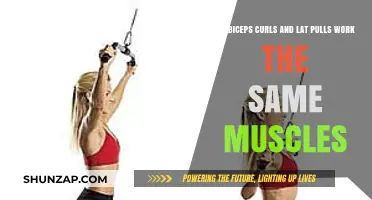 Biceps Curls vs. Lat Pulls: Which Muscles Do They Target?