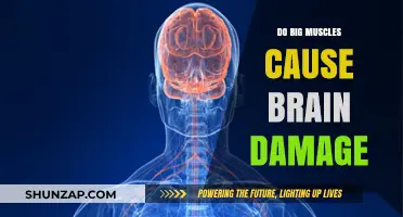 Brain Damage: The Dark Side of Big Muscles