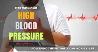 Muscle Mass and Blood Pressure: Is There a Link?