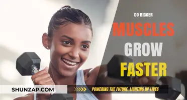 Does Muscle Size Influence Growth Speed? Unraveling the Bigger Muscles Myth