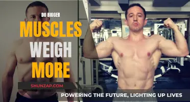 Muscle Mass: Does Size Impact the Scale?