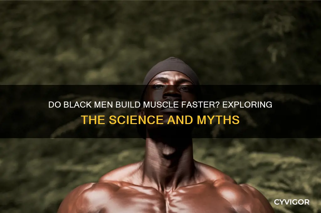 do black men gain muscle faster