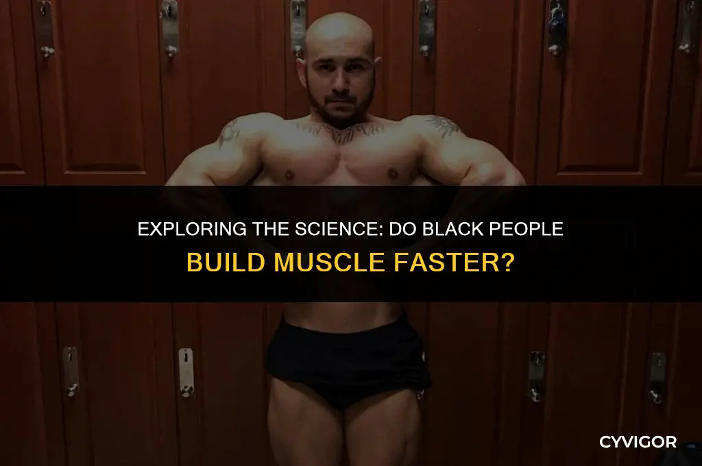 do black people build muscle faster