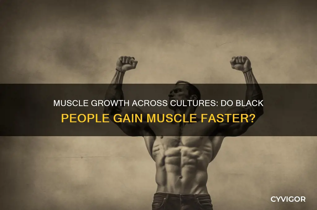 do black people gain muscle faster than other cultures