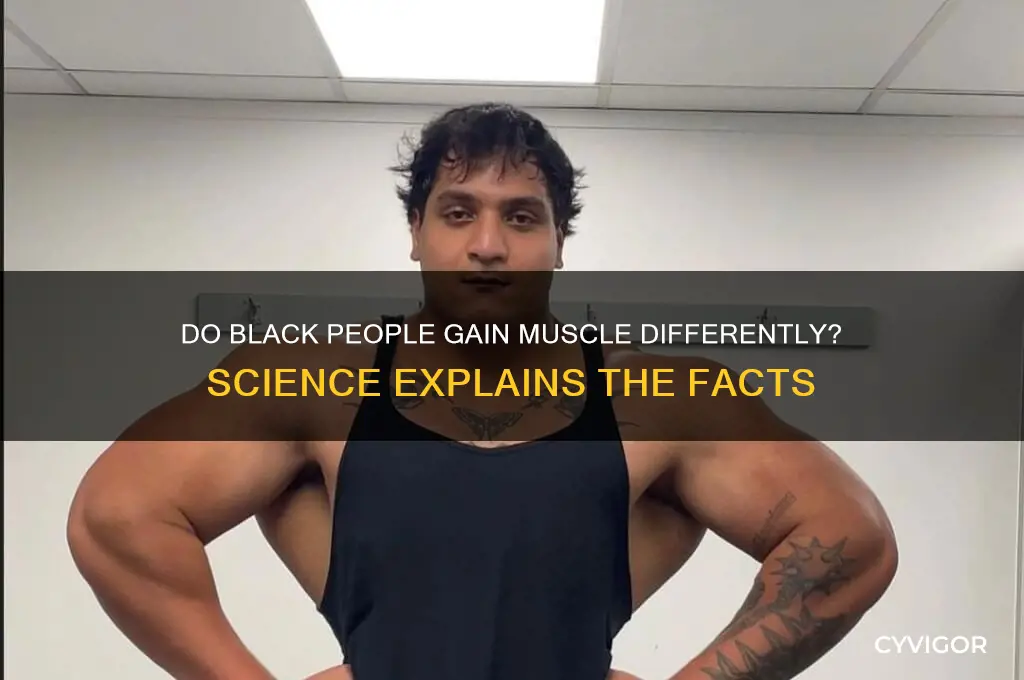do black people gain muscle