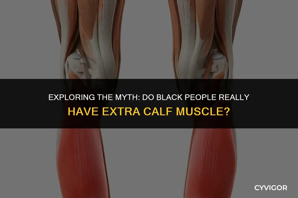 do black people have extra calf muscle