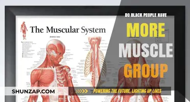 Exploring the Myth: Do Black People Have More Muscle Groups?