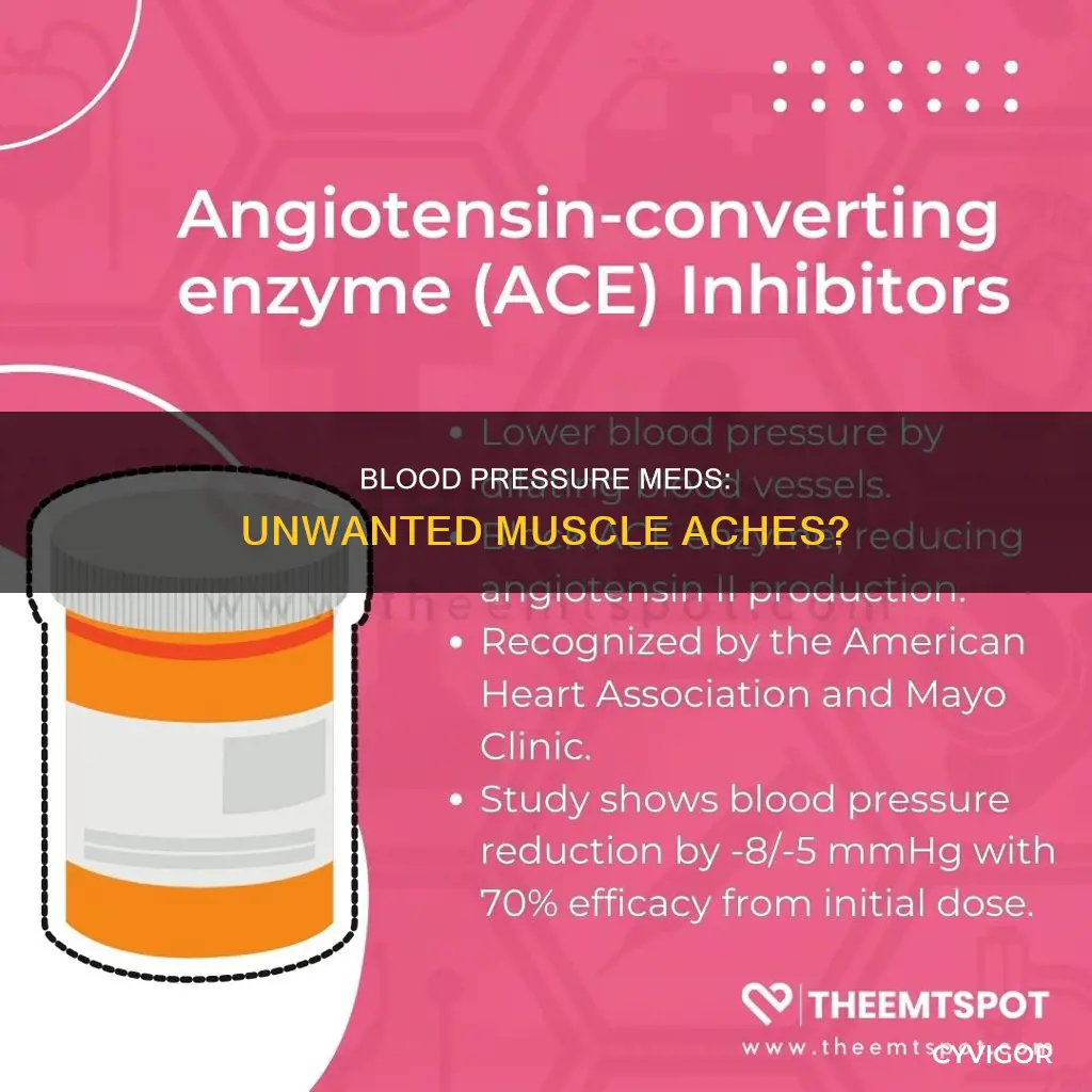 do blood pressure meds cause muscle aches