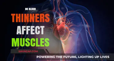 Exploring the Impact of Blood Thinners on Muscle Health