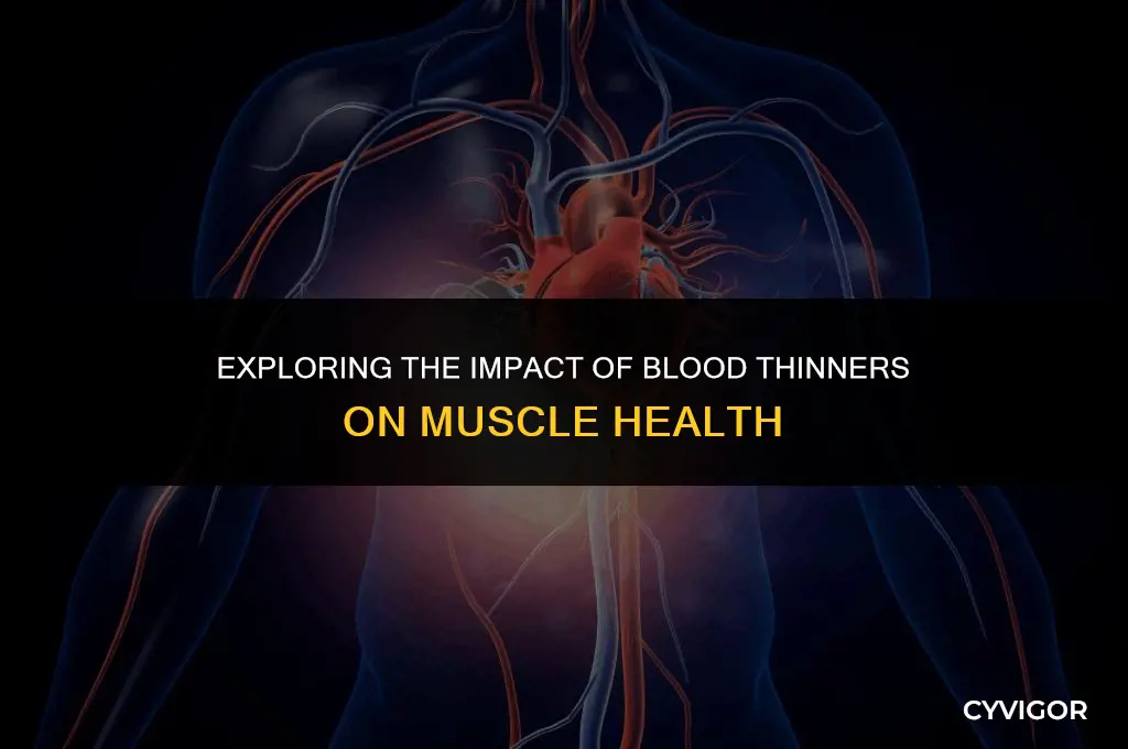do blood thinners affect muscles