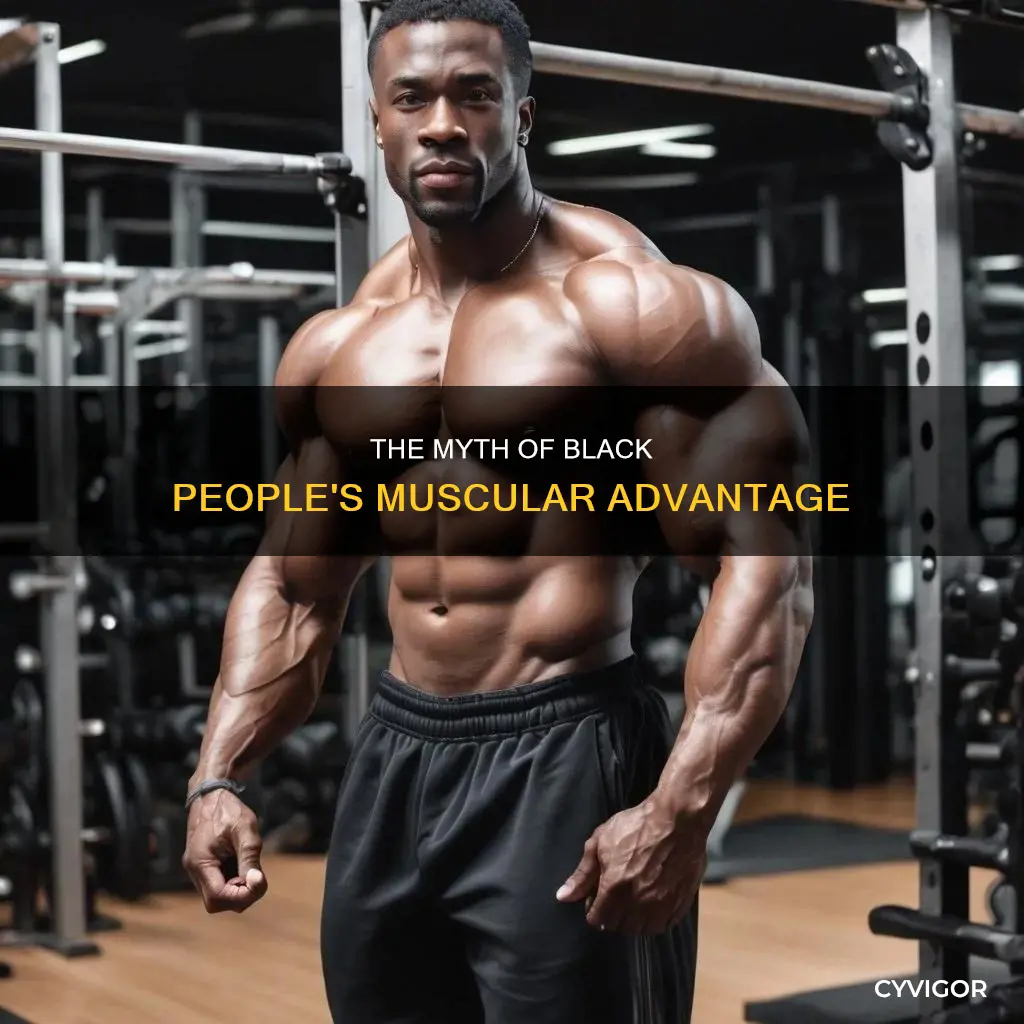 do boack peoplenhave another muscle