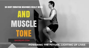 Body Vibration Machines: Effective for Muscle Tone or Just Hype?