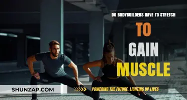 Stretching for Muscle Gain: Essential for Bodybuilders or Optional?