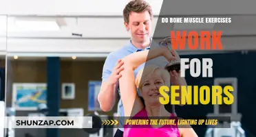 Bone Muscle Exercises: Effective Benefits for Senior Fitness and Health