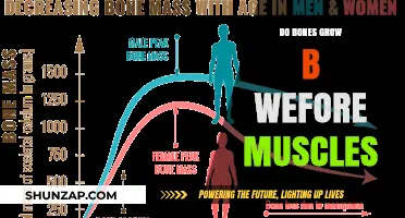 Bones vs. Muscles: Which Grows First in Human Development?