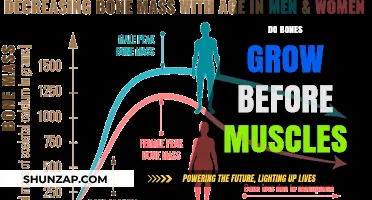 Bones vs. Muscles: Which Grows First in Human Development?