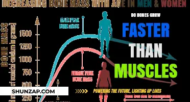 Bones vs. Muscles: Which Grows Faster and Why?