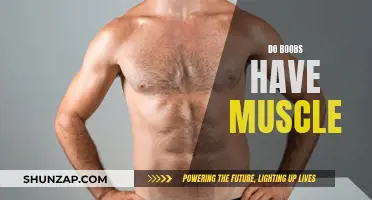 The Truth About Breasts: Muscle or Not?