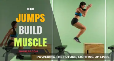 Explosive Power: Do Box Jumps Really Build Muscle?