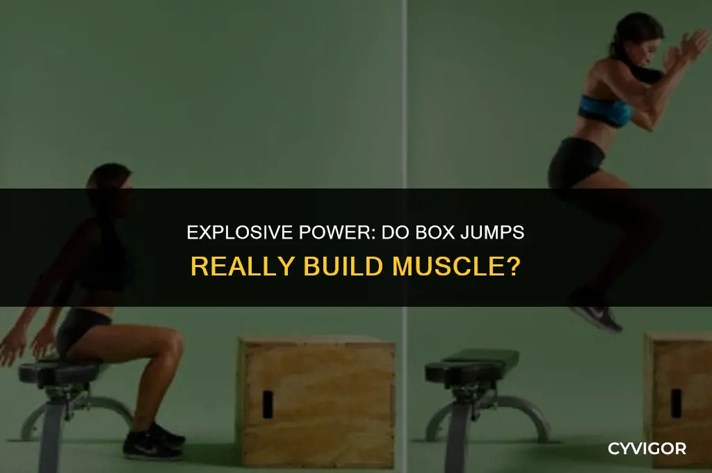 do box jumps build muscle