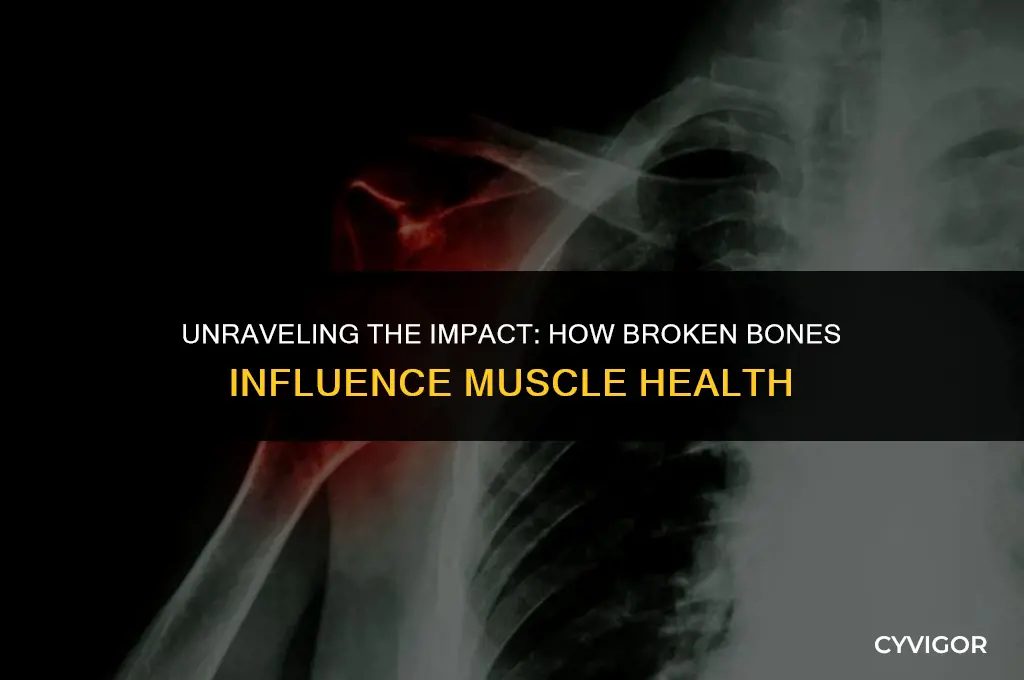 do broken bones affect muscles