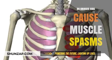 Bruised Ribs: Can They Cause Muscle Spasms?