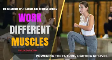 Bulgarian Split Squats vs. Reverse Lunges: Targeting Different Muscles?