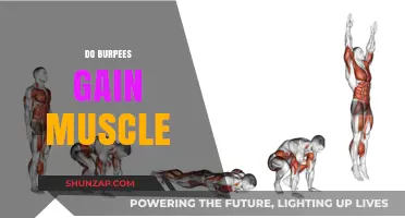 Do Burpees Build Muscle? Unlocking the Full-Body Benefits of Burpees