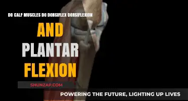 Exploring Calf Muscles: Dorsiflexion and Plantar Flexion Explained