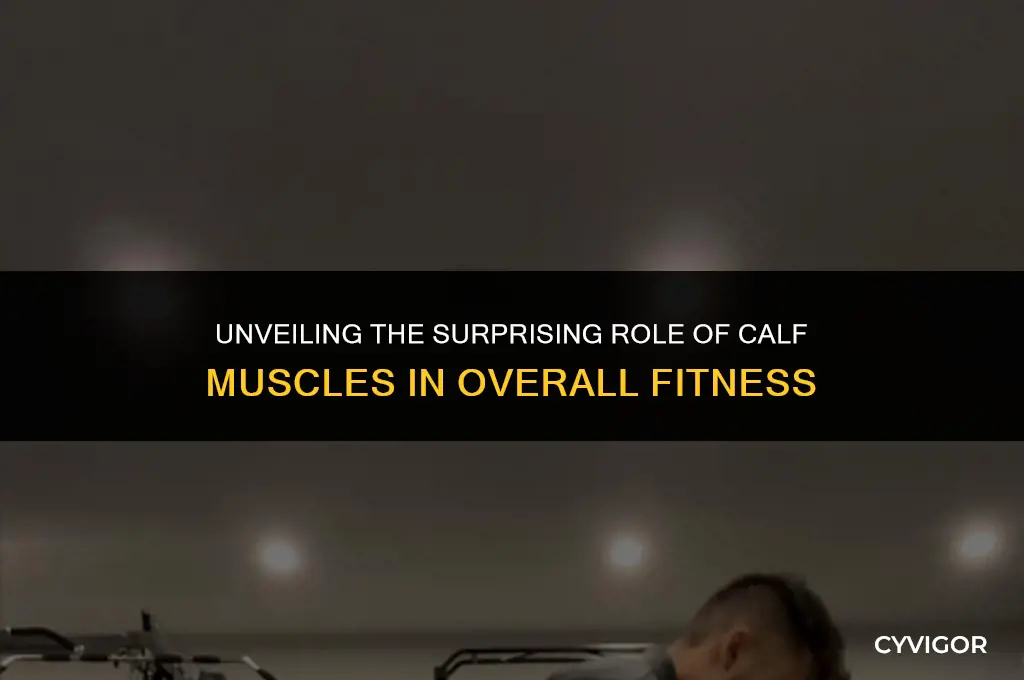 do calf muscles do much