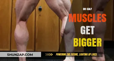 Strengthening Your Lower Legs: The Journey to Bigger Calf Muscles