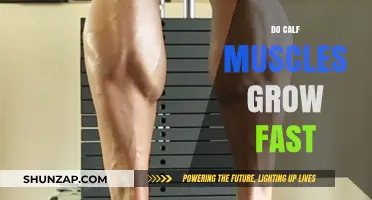 Quick Calf Growth: Facts and Myths About Building Strong Calves