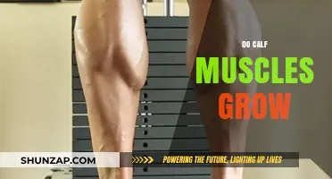 Unleashing Calf Growth: Effective Strategies for Stronger, Toned Calves