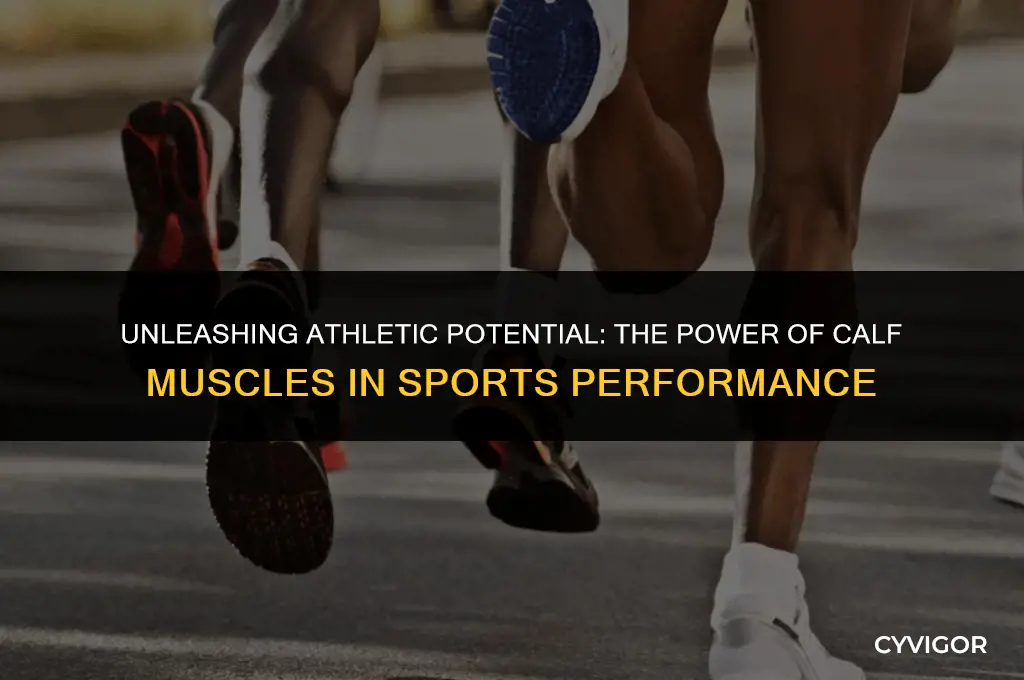 do calf muscles matter in sports