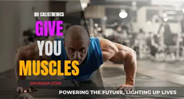 Calisthenics: Muscle Builder or Just a Fad?