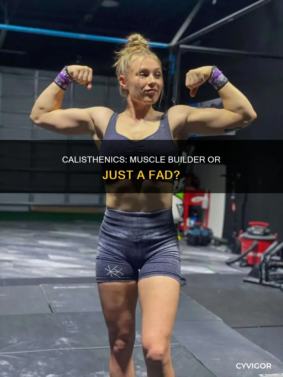do calisthenics give you muscles
